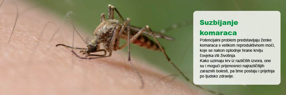 Suzbijanje komaraca